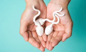 Het belang van sperma kwaliteit